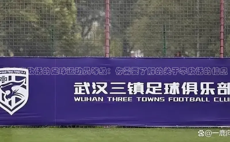 凯捷体育雷柏科技