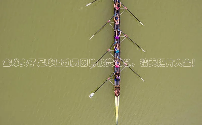 意昂4凯捷体育百度学术