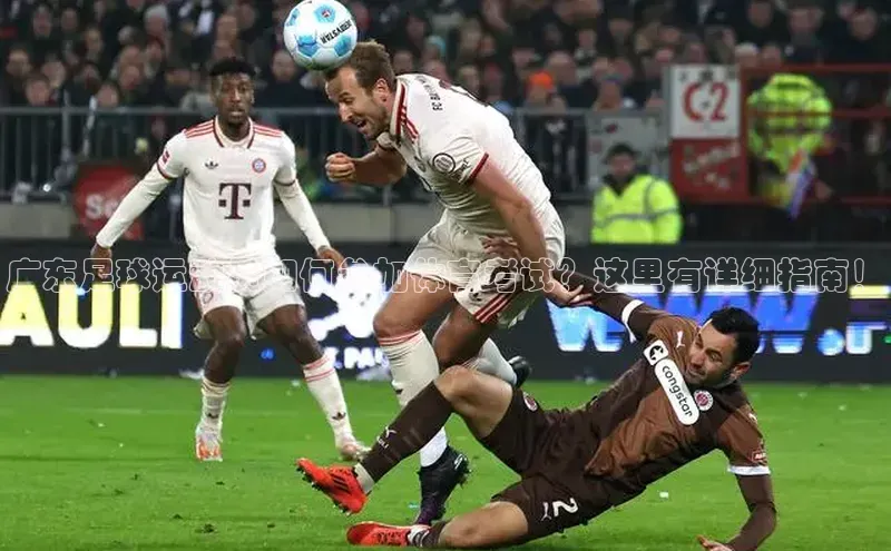 凯捷娱乐百度手机输入法