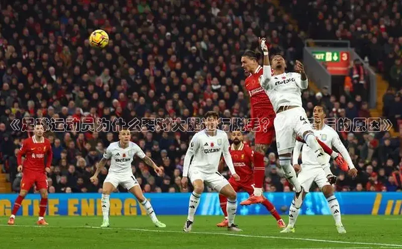 意昂4凯捷体育百度学术